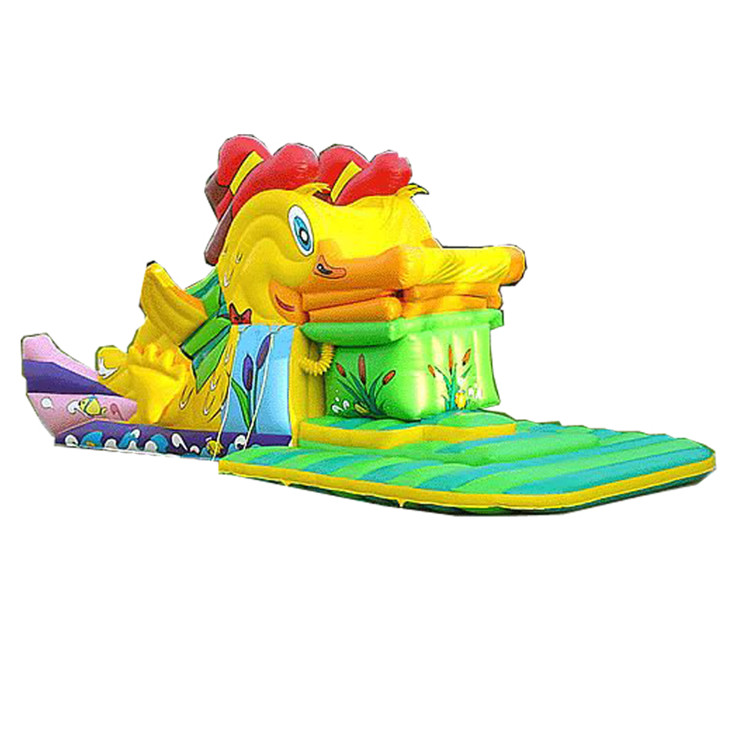 Inflatable Slides FLSL-A20072