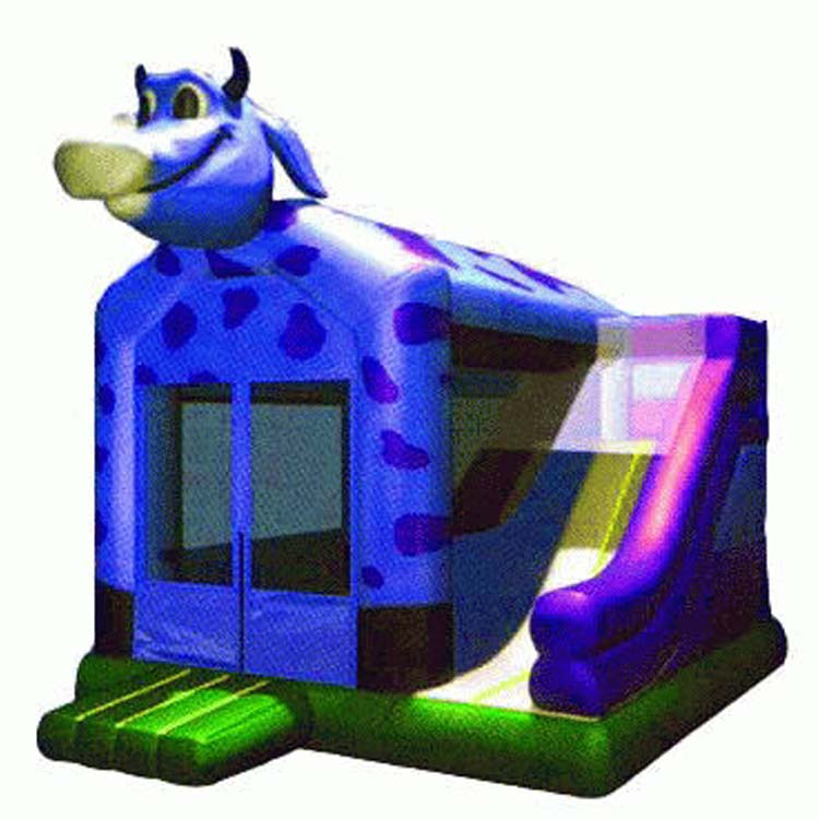 Inflatable Combos FLCO-10039